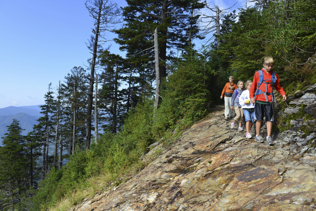 Picture of Family Hiking