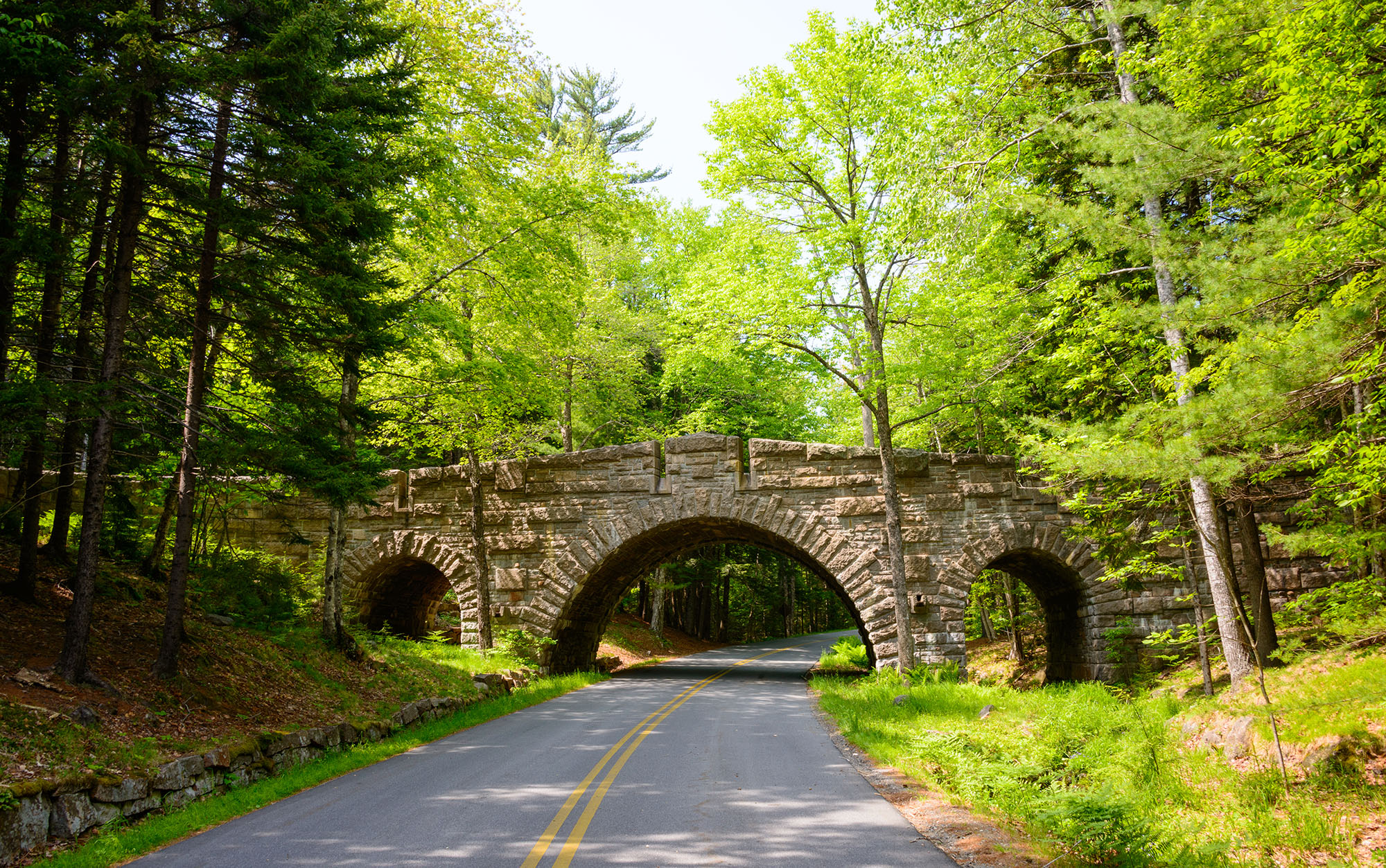 Photo of the Acadia National Park Loop road and stone bridge