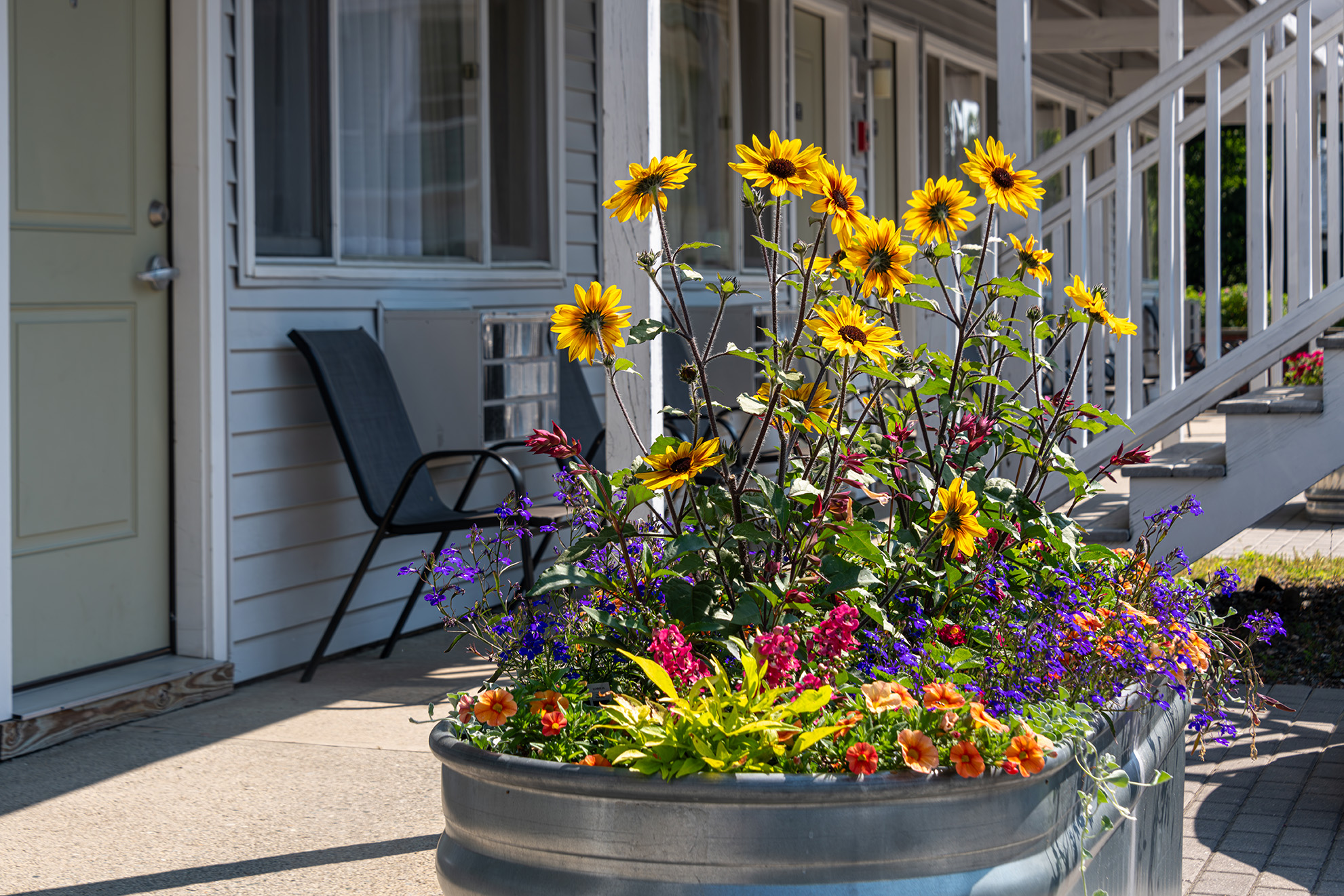 A planter with colorful flowers sits on a concrete patio in front of a building with white siding and a staircase.